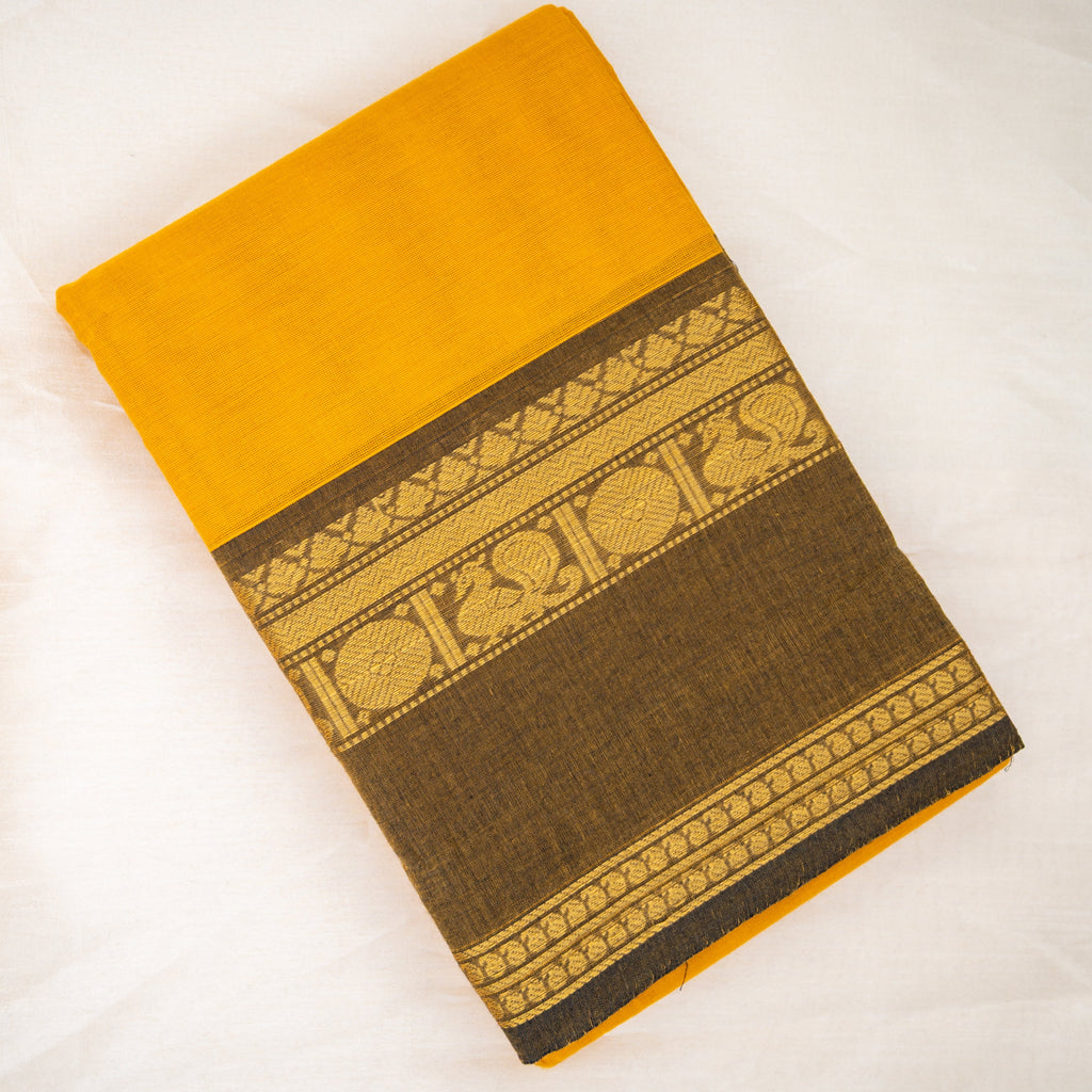 Mayuri - Kanchi Cotton Saree