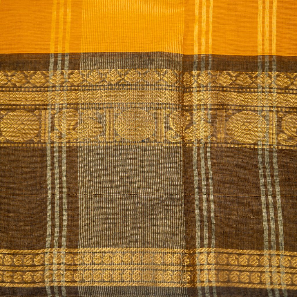 Mayuri - Kanchi Cotton Saree