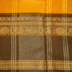 Mayuri - Kanchi Cotton Saree