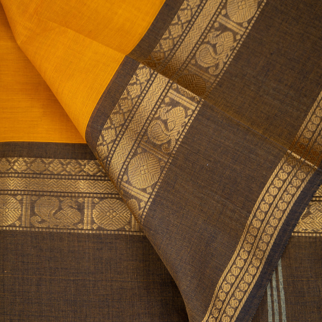 Mayuri - Kanchi Cotton Saree