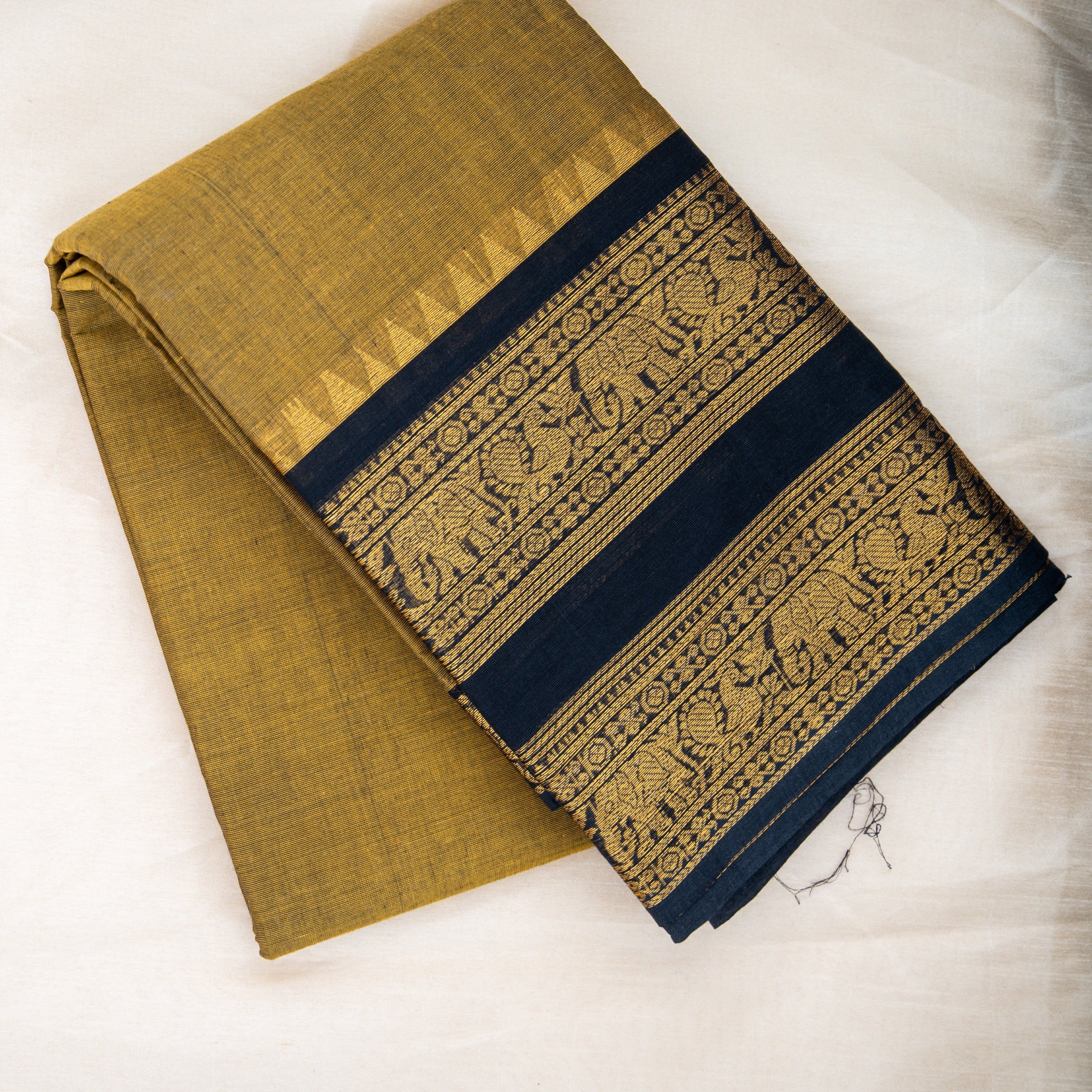 Sharada - Kanchi Cotton Saree