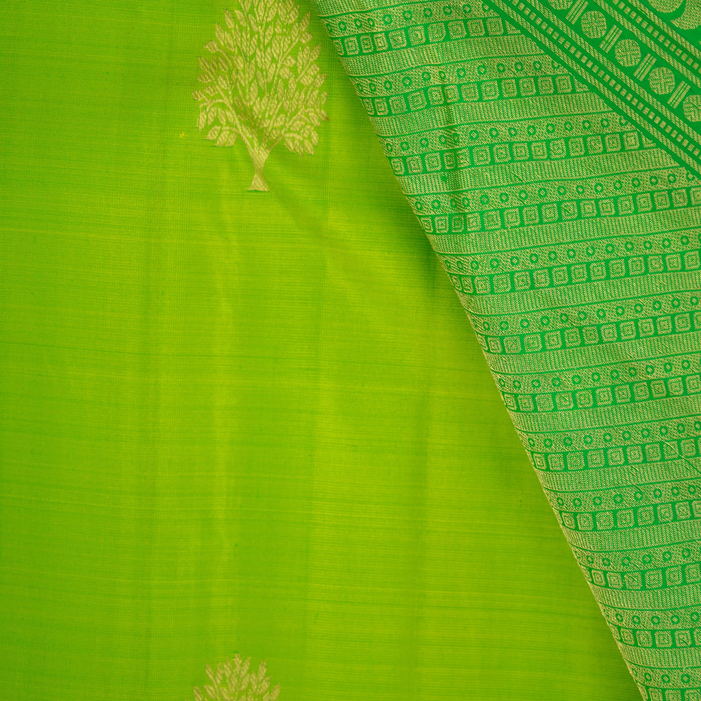Kamakshi - Kanchivaram Pure Silk Saree