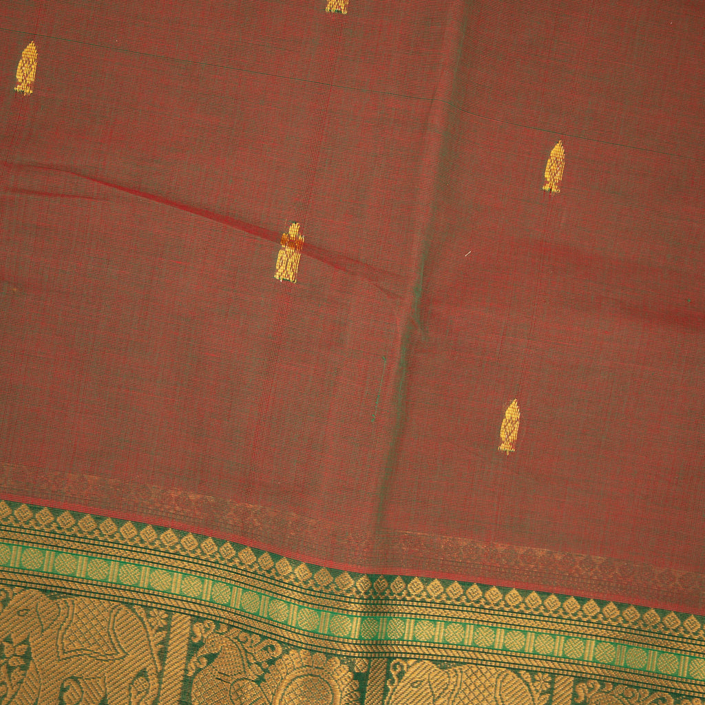 Charumati – Kanchi Cotton Saree