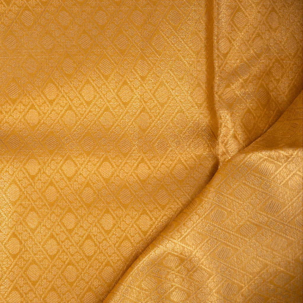 Aira - Tissue Semi Silk Saree