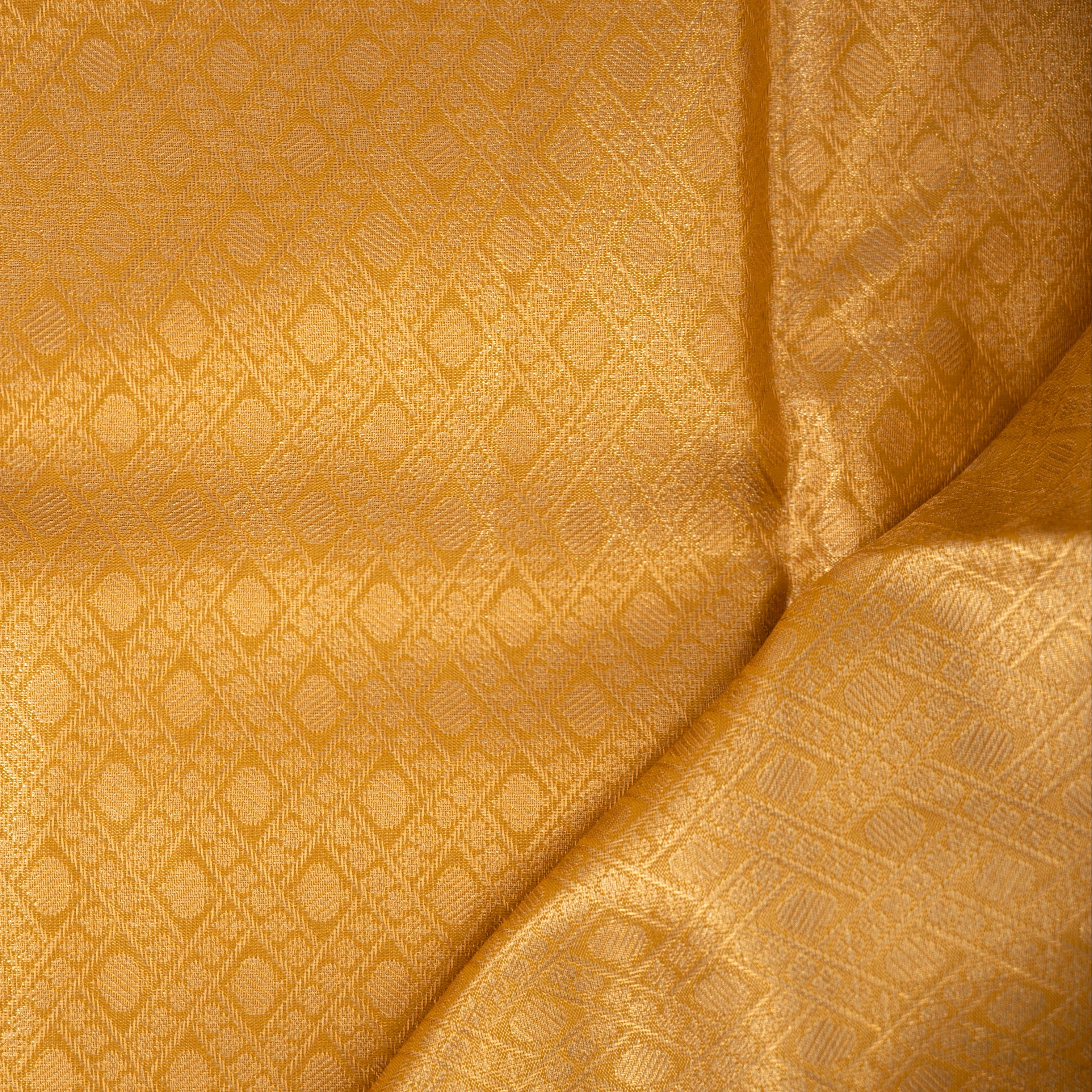 Aira - Tissue Semi Silk Saree