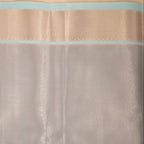 Airavathi - Tissue Semi Silk