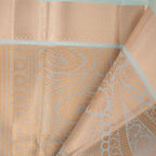 Airavathi - Tissue Semi Silk