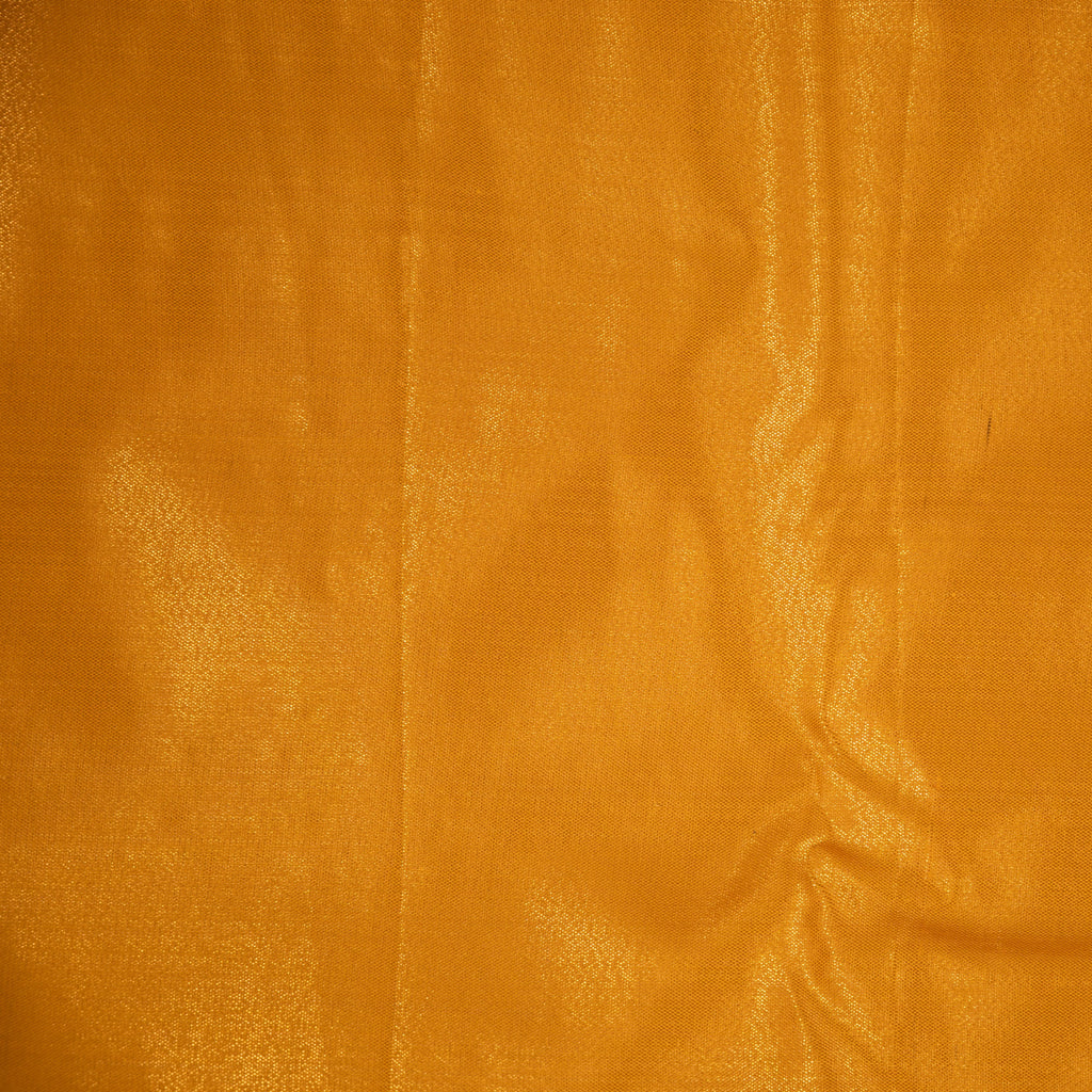 Karunya - Tissue Semi Silk Saree