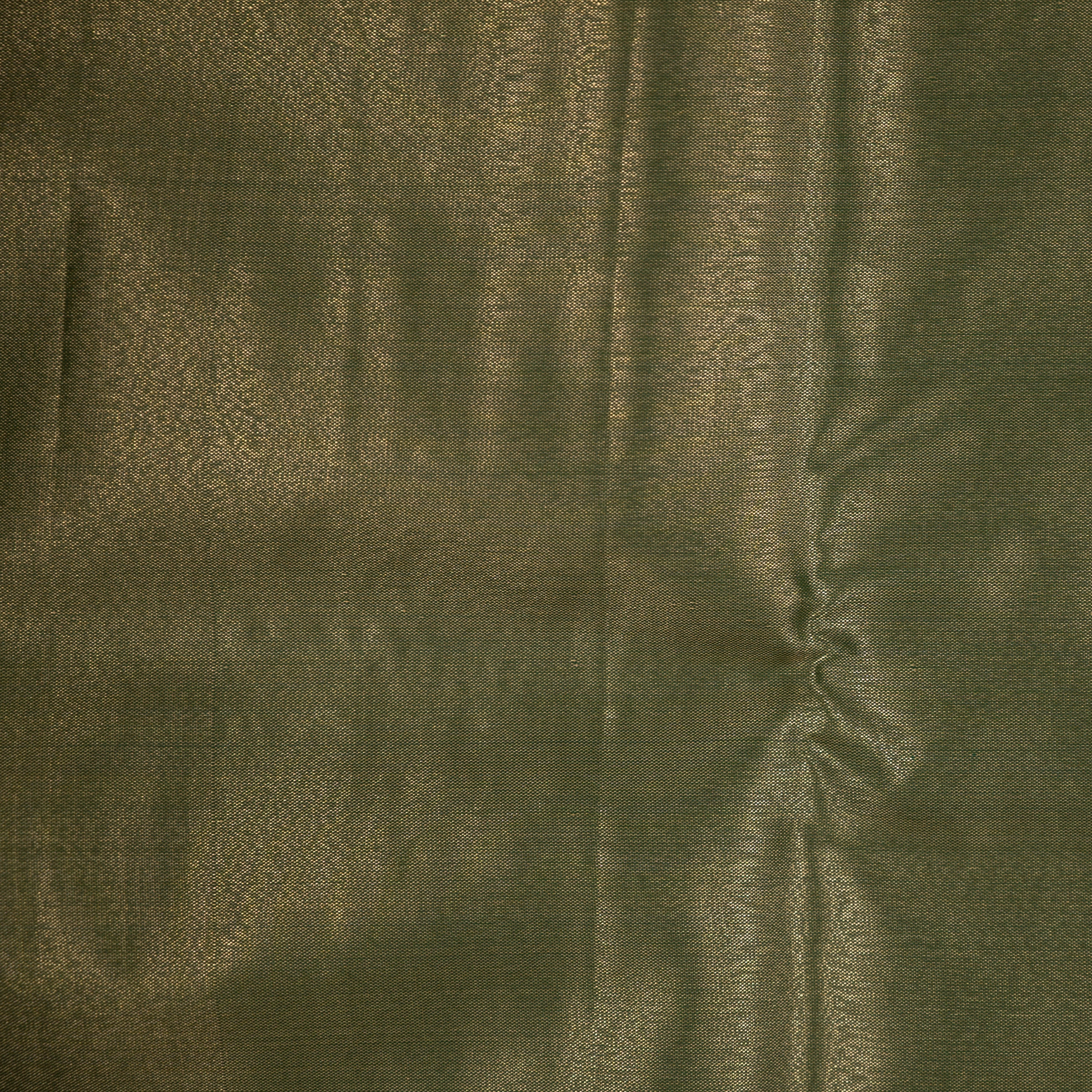 Sanidhya - Tissue Semi Silk Saree