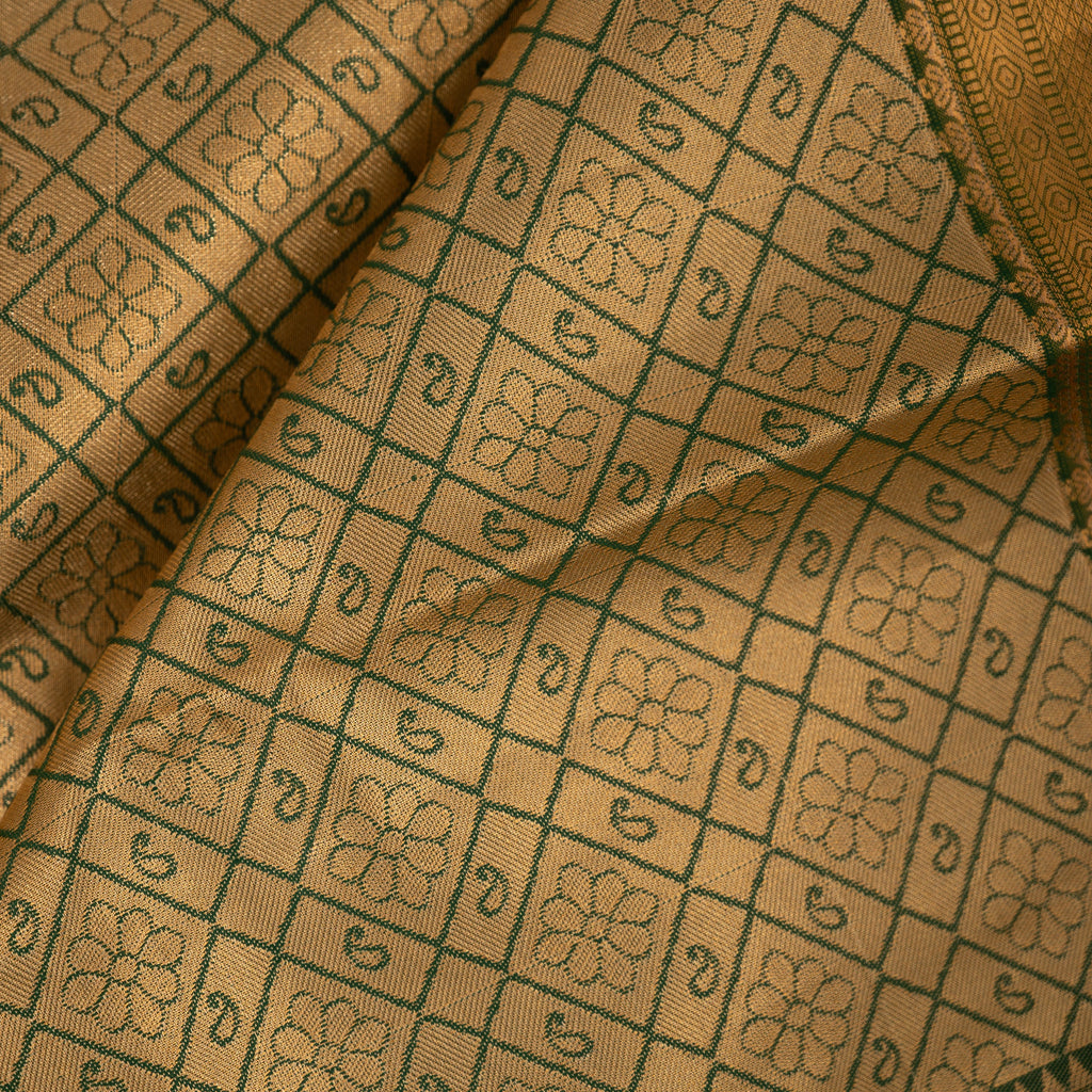 Sanidhya - Tissue Semi Silk Saree
